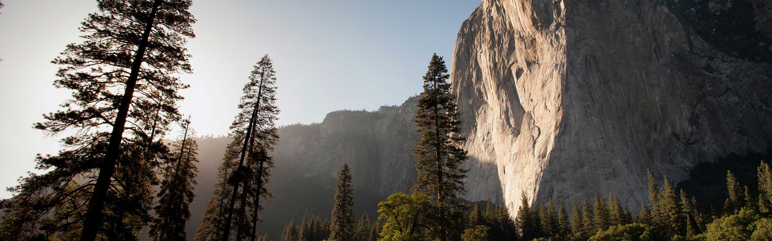 Image de fond d'Artemys Investissement