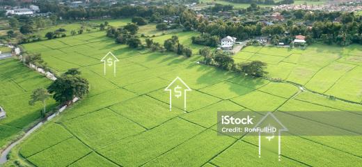 Image 0 de Praesentium eligendi aut vitae.