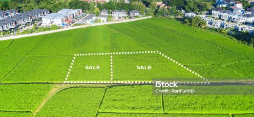 Image 0 de Modi quam assumenda dignissimos hic sit.